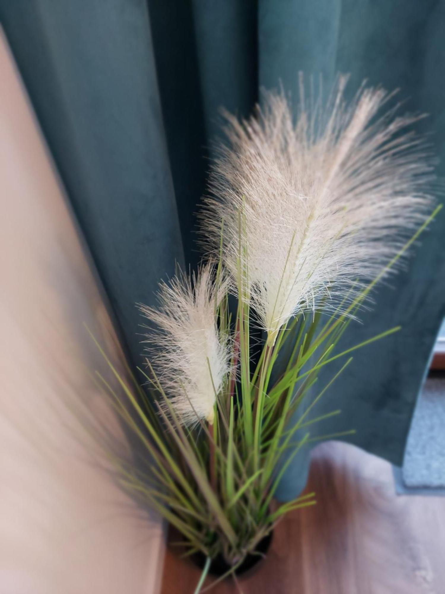 Willa Hafen Jastarnia Oda fotoğraf
